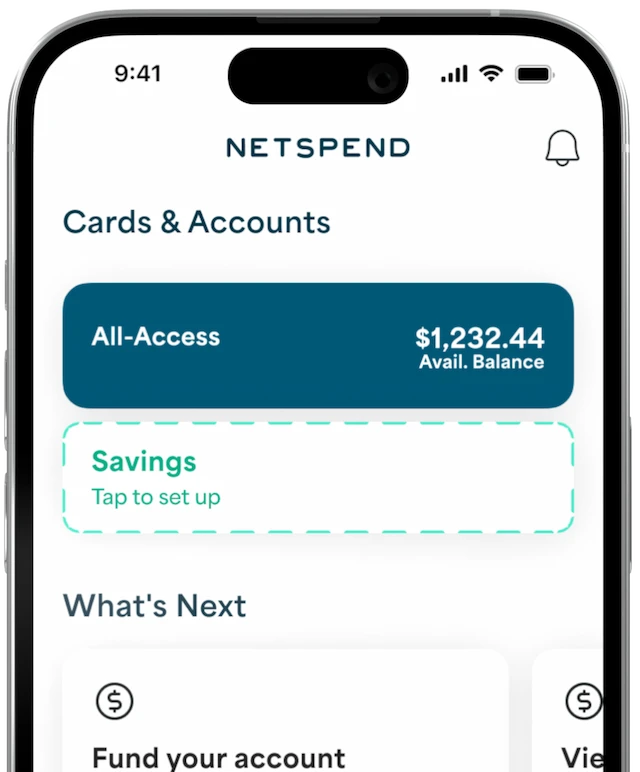 Netpsend App dashboard displayed on an iPhone