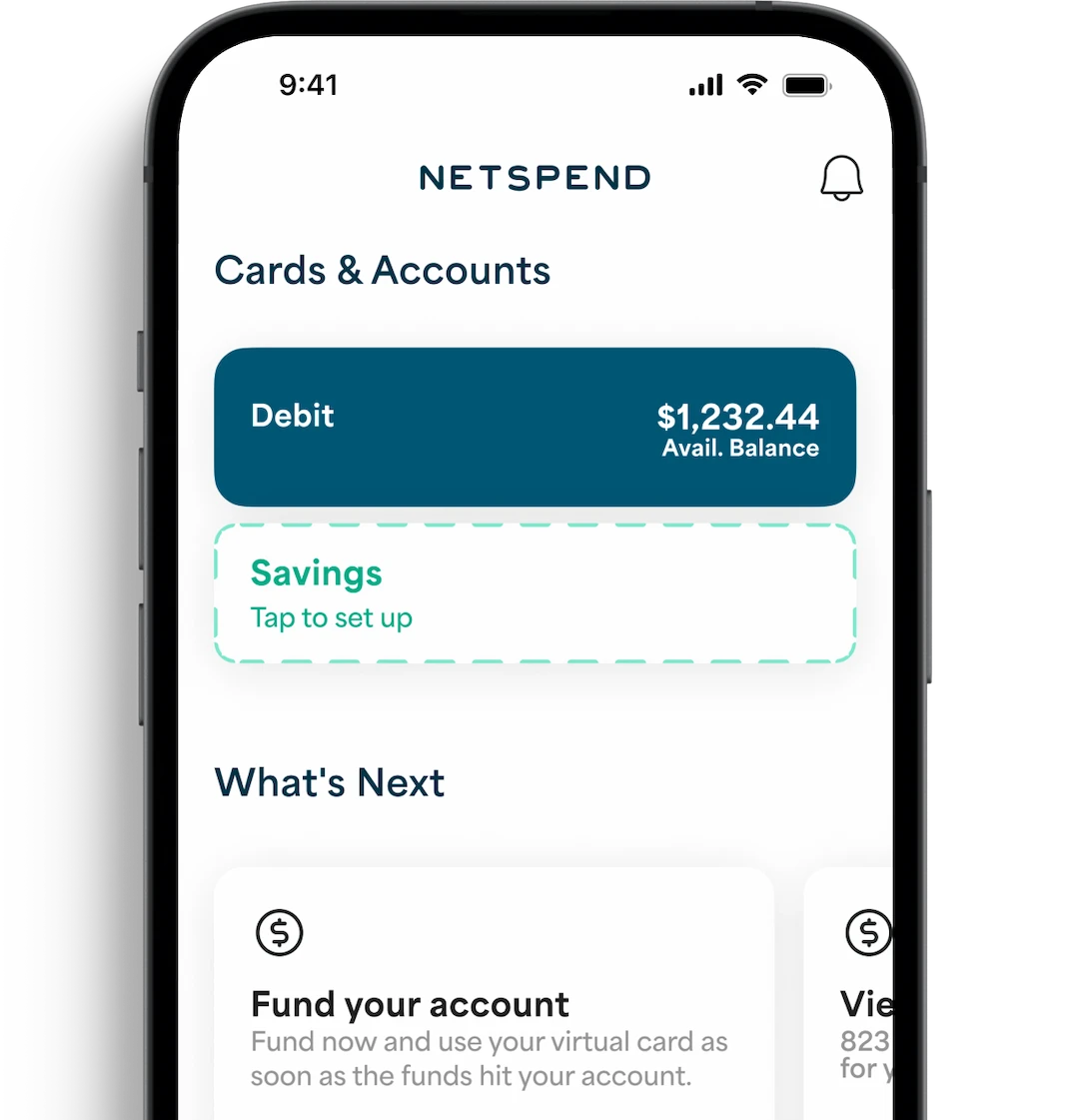 Netpsend App dashboard displayed on an iPhone