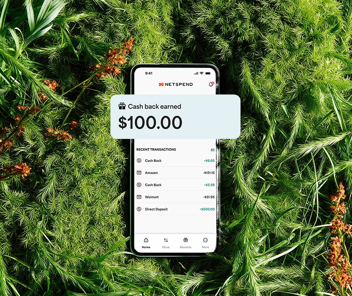 iPhone displaying $100.00 cash back earned notification.