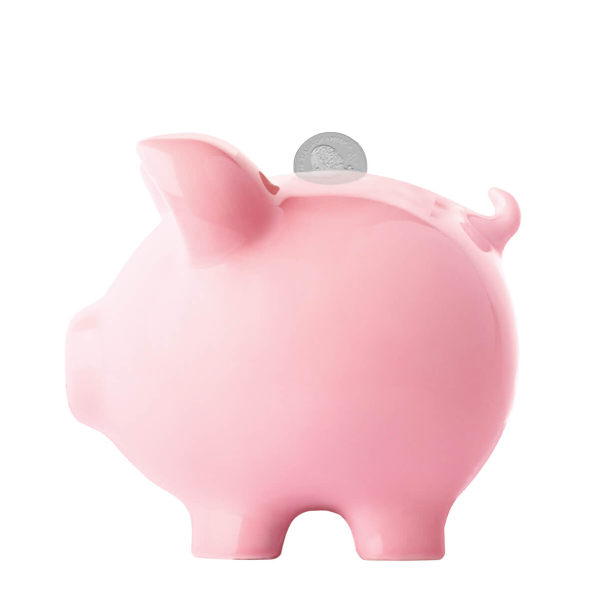 Image of a large Piggy bank representing Big Bank Accounts